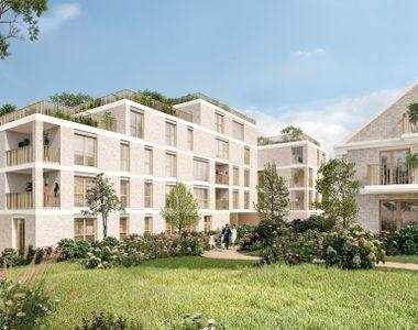 Les Hydrangeas à Rueil-Malmaison